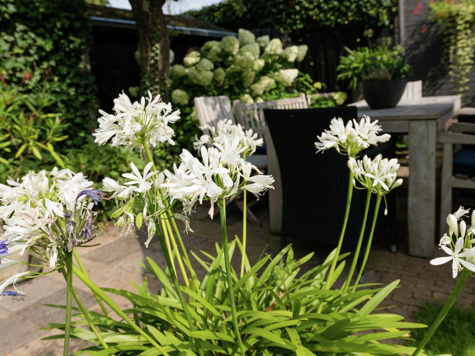 Alluring Apartment In Bergen With Terrace Garden And Bbq Esterno foto